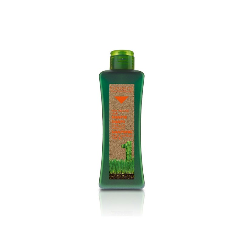 Champú Cabellos Tratados — Salerm Cosmetics disponible en Ileana Dickson Beauty Space, Dénia